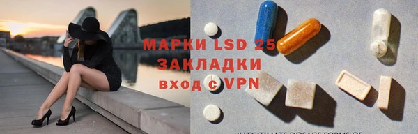 a pvp Бородино