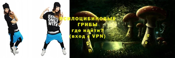 a pvp Бородино