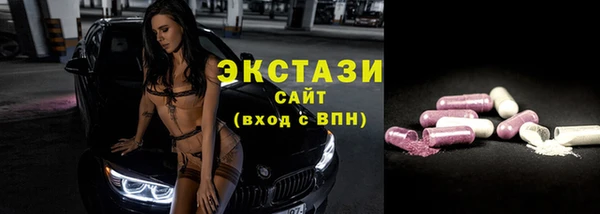 a pvp Бородино