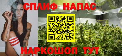 СК Пенза