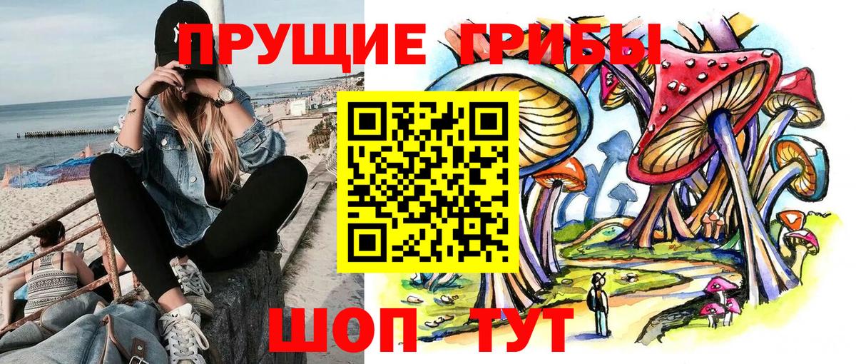 Галлюциногенные грибы мухоморы Буйнакск